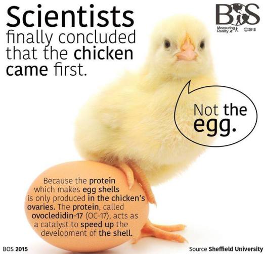 11156392_969865819699158_6421566890305207787_n