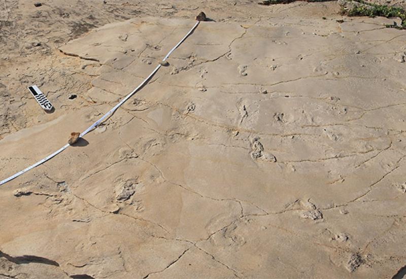 humanoid_trackway-panorama-crete-2010-11-28_007-canon_l-panorama-croped_small